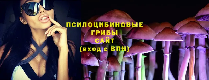 Галлюциногенные грибы Psilocybine cubensis  hydra онион  Ардон 